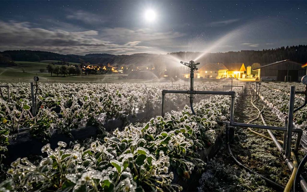 Eisheilige 2026: Die spektakuläre Wetter-Wende im Experten-Check
