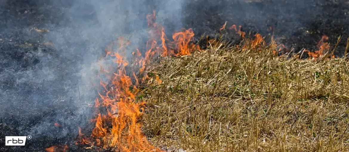 Großbrand bei Rheinsberg gelöscht: 90 Hektar Feld standen in Flammen. Bis zu 150 Feuerwehrkräfte waren im Einsatz, Behörden warnten vor dichter Rauchentwicklung.