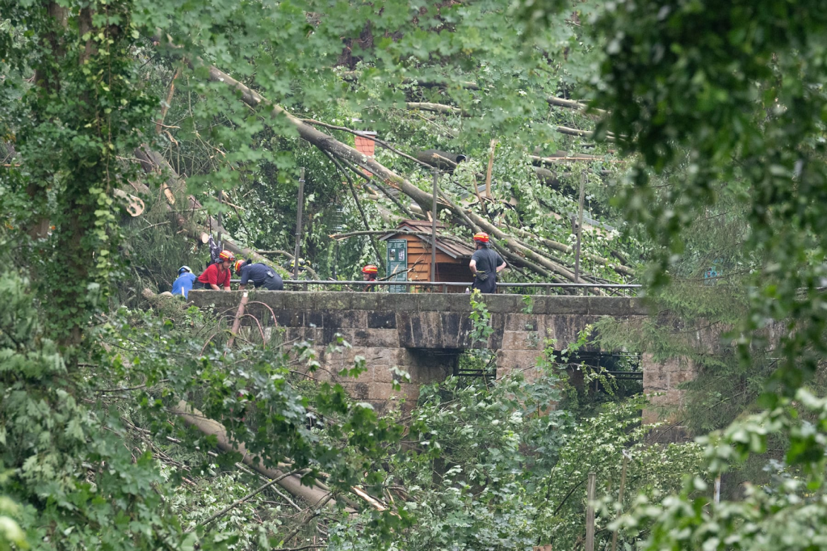 Nach einem tödlichen Unwetter sperrt die Sächsische Schweiz Teile der Wälder bis 3. August. Bei Verstößen drohen Bußgelder bis zu 10.000 Euro.