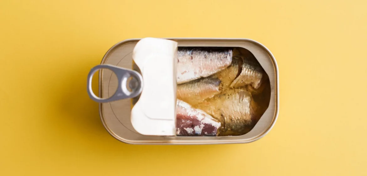 Sardinen verschwinden aus deutschen Supermärkten. Warum der Engpass entstand, wie geringere Fangmengen das Angebot beeinflussen und ob die Preise steigen.