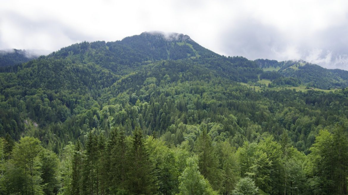 Eine 25-jährige Wanderin stürzt am Brünnstein in Bayern 30 Meter tief. Ein junger Mann entdeckt sie. Zwei Rettungshubschrauber sind im Einsatz.